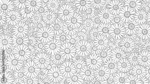 Detailed black and white background pattern filled with hundreds of small daisy flowers creating a dense floral field.