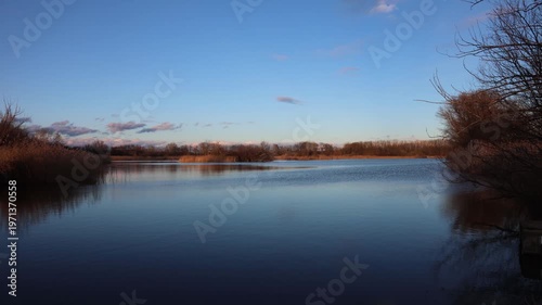 reflection of trees in the water