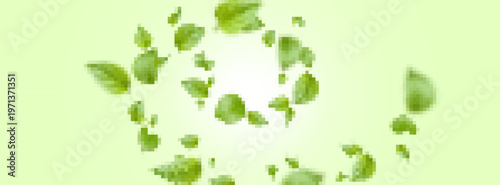 Fresh green mint leaves swirl floating in air with natural motion effect, realistic vector background. Organic herbal concept, cosmetic product design and sustainable beauty banner illustration.