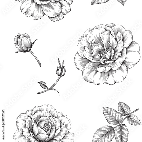Floral Vintage vector seamless pattern flowers Roses buds leaf, black white. Background for design wedding, packaging, textile, wrapping paper, wallpaper, Fashion apparel. Hand drawn engraved elements