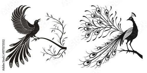 Black silhouettes of peacock and bird on tree branches  isolated on white background
