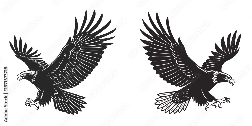 Fototapeta premium Two black and white illustrations of eagles in flight birds