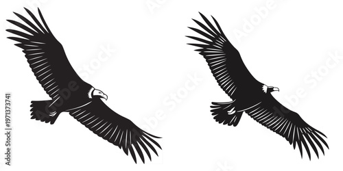 Two black and white illustrations of eagles flying side by side