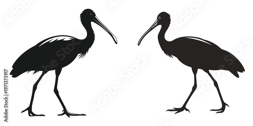 Two black silhouettes of ibises standing facing each other side