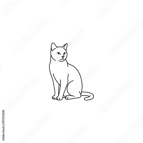 Sitting Cat Looking to Side.