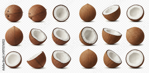 Set of Realistic Coconuts and Halves Isolated on Transparent Background for Tropical Food Design.