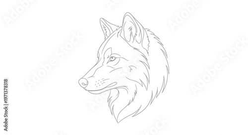 Wolf Head Line Art Drawing, Majestic Canine Portrait, Wild Animal Sketch