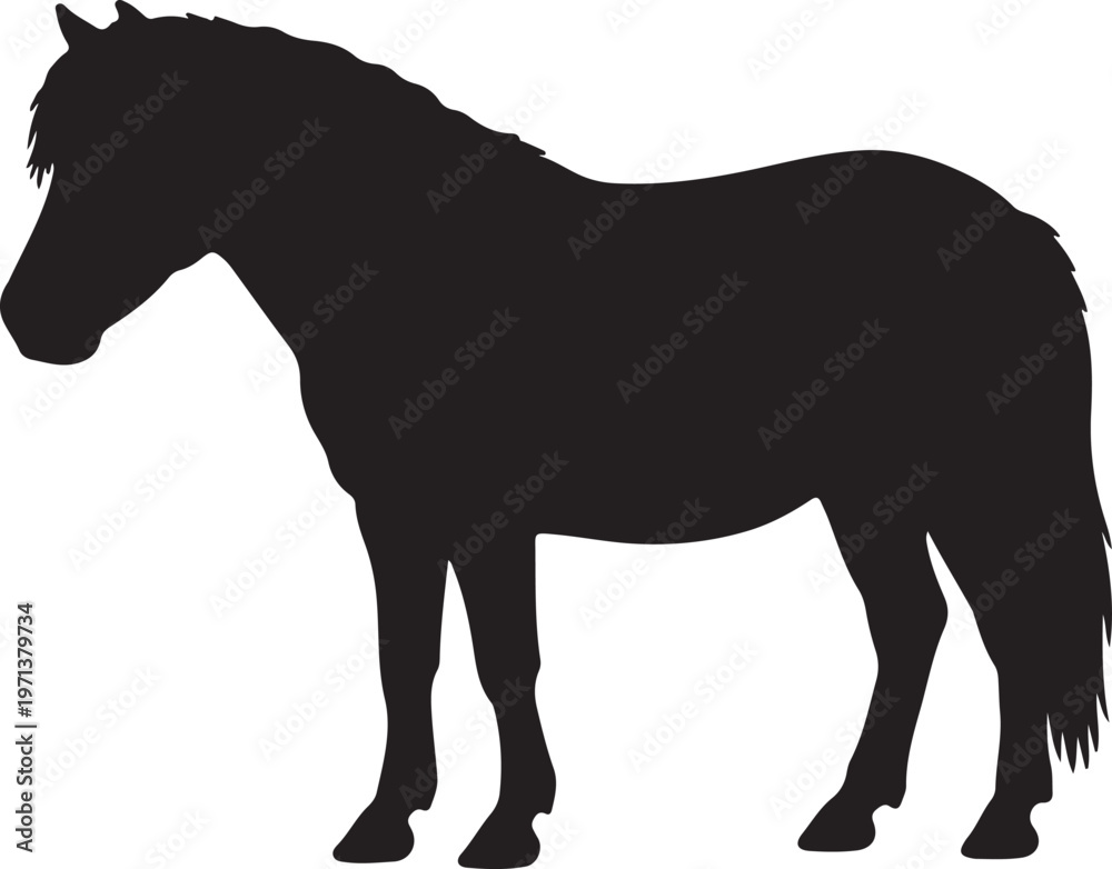 Fototapeta premium Shetland Pony icon on white background.