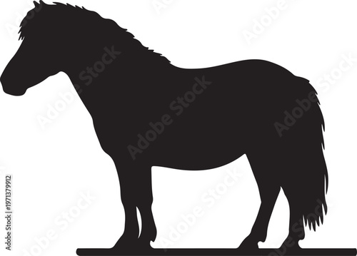 Obraz na plátně Shetland Pony icon on white background.