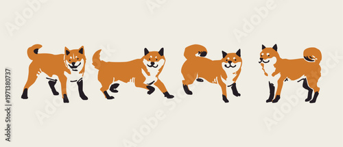 Shiba Inu Dog Set Flat Vector Illustration Cute Japanese Dog Poses