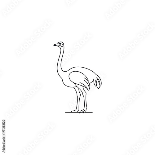 Ostrich standing alone in profile view.