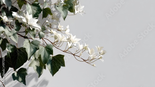 Elegant Green and White Leaves on Minimalist Background