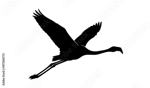 Flying flamingo silhouette elegant tropical bird with spread wings vector illustration isolated on white background