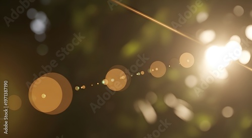Golden Sun Flare Lens Effect with Bokeh and Greenery Background