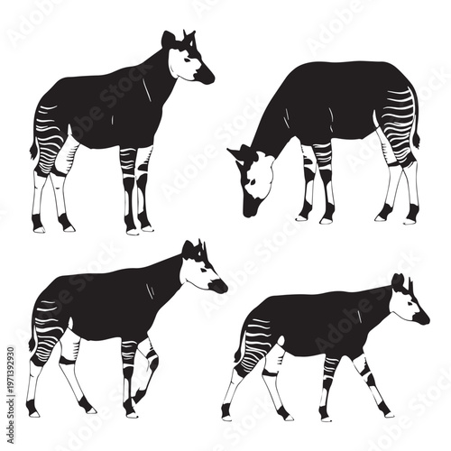 Photos Black Okapi Silhouette Vector, High Quality Illustration on White Background