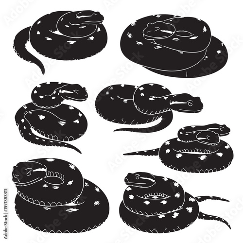 Billede på lærred Black Puff adder Silhouette Vector, High Quality Illustration on White Backgroun