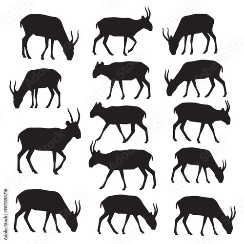 Black Saiga antelope  Silhouette Vector, High Quality Illustration on White Background