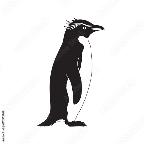 Black Rockhopper penguin Silhouette Vector, High Quality Illustration on White Background