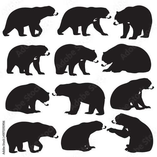 Black Sun bear Silhouette Vector, High Quality Illustration on White Background