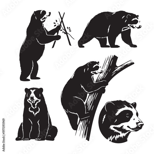 Black Spectacled bear Silhouette Vector, High Quality Illustration on White Background