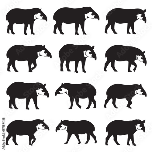 Black Tapir Silhouette Vector, High Quality Illustration on White Background