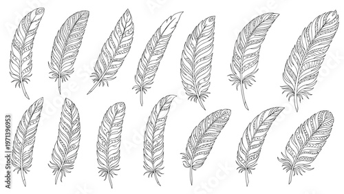 Set of hand drawn sketch style bird feathers in black and white arranged in two rows on a clean plain white background.