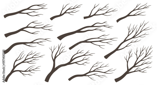 Collection of bare tree branches.