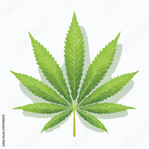 Green cannabis leaf illustration with shadow on white background