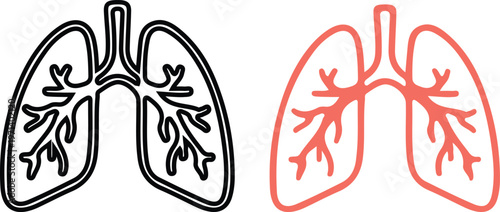 lung, lungs, respiratory, breathing, oxygen, inhale, exhale, air, pulmonary, health, organ,