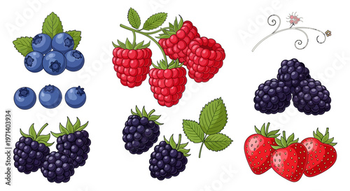 Fresh Berries and Strawberries Together.