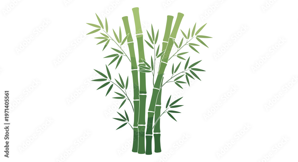 Fototapeta premium Bamboo stalks with green leaves.