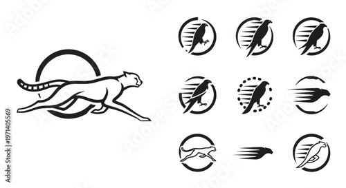 Black cheetah logo with abstract elements.