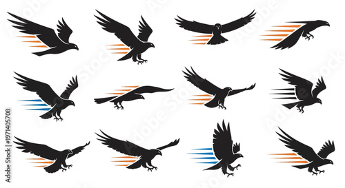 Collection of flying ravens in motion.