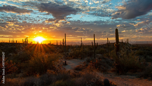 Wide Ratio Arizona Desert Sunset Landscape With Sunrays In Phoenix Area 