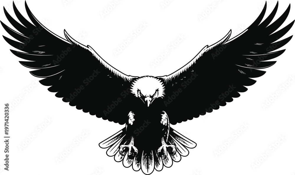 Fototapeta premium Eagle bird with outstretched wings hunting in air on transparent background.
