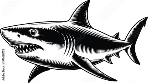Foto Shark predator fish side view sketch engraving style isolated black and white