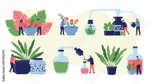 Group of tiny people working together with plants and lab equipment to create natural herbal medicine, essential oils, and cosmetics.