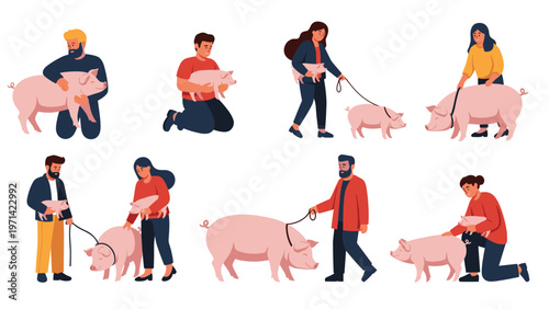 Set of people interacting with domestic pigs through petting walking on leash and carrying piglets for farming and animal care.
