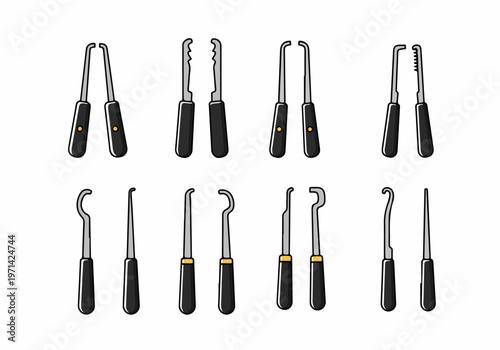 Vector Illustration of a Comprehensive Set of Professional Lock Picking Tools for Locksmithing and Security Training