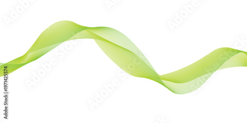 Fresh organic green ribbon bow with natural spring leaves and a healthy vegetable stem isolated on a white background