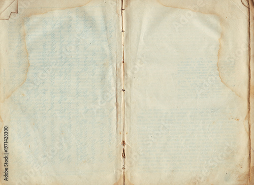 Vintage empty background of old book spread texture