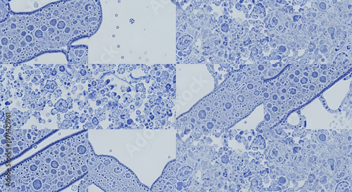 Abstract mosaic pattern with organic cell-like structures and fluid shapes in blue and white, tileable texture for digital backgrounds