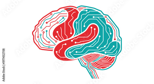 Brain Illustration with Red and Blue.