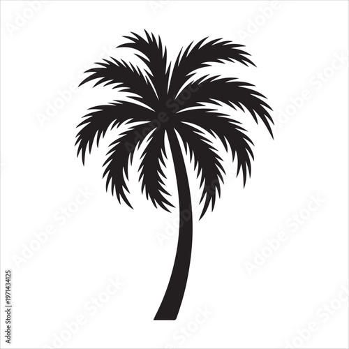 Tableau sur toile Single black silhouette of a palm tree with bent trunk and detailed fronds