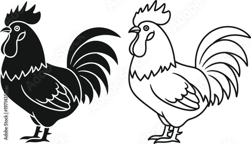 Black and white roosters standing side by side Vector