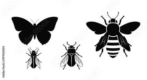Set of Minimalist Black Insect Silhouettes - Bee Butterfly Fly