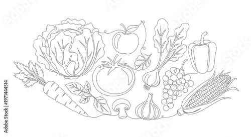 Variety of fresh organic vegetables.