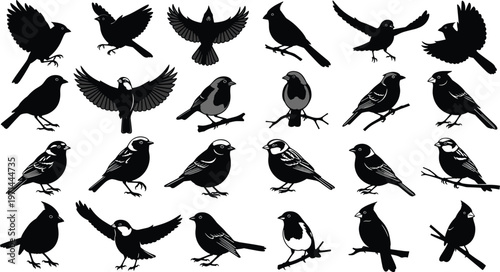Bird silhouettes flying perched wings spread collection avian poses vector illustration design black shapes isolated art nature wildlife pattern
