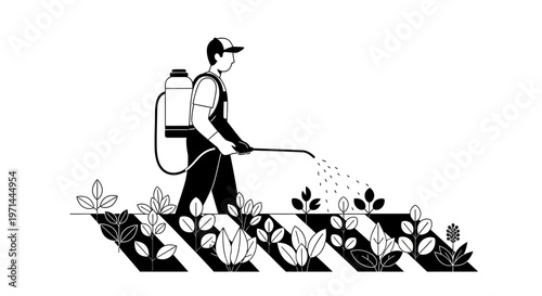 Man spraying pesticide on plants rows.