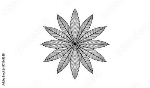 Radial palm leaves line art vector with 3D dimensional arrangement in different sizes tropical decorative design isolated on white